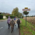 randonnées ânes bâtés